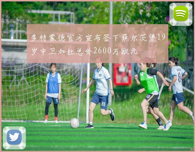 多特蒙德官方宣布签下萨尔茨堡19岁中卫加杜总价2600万欧元